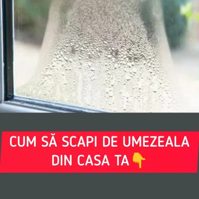Fără căldură și cu pene de curent! Cum să-ți usuci apartamentul și să scapi de mucegai cu trucuri simple acasă