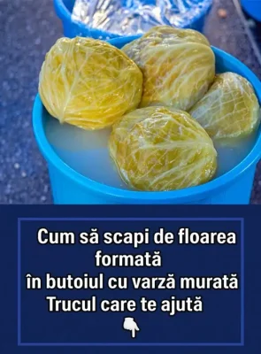 Trucul care te scapă de floarea de pe varza murată! Așa o păstrezi crocantă și gustoasă