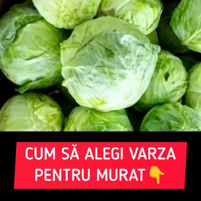 Varza murată, secretul sănătății: trucuri și beneficii pe care nu le știai!