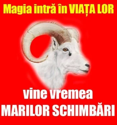 Se umplu de bani în 2026! Cele 5 zodii care au norocul scris în stele. Ești și tu pe listă?