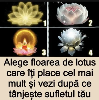 Alege o floare și află ce ascunde sufletul tău! Testul care îți spune adevărul despre dorințele tale secrete
