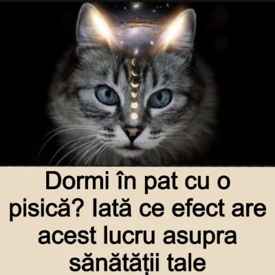 Motivul pentru care pisica ta stă pe pieptul tău. Te ferește de o boală gravă fără să îți dai seama!