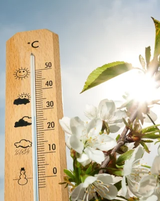 Răsturnare de situație de la ANM! Vremea o ia razna după zilele cu 18 grade. Ce se întâmplă în România din 10 martie