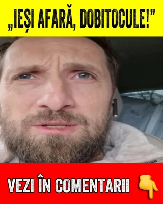 „Dobitocule, ieși afară!” Dani Oțil a făcut prăpăd în restaurant. Bobonete a rămas mască la nota de plată