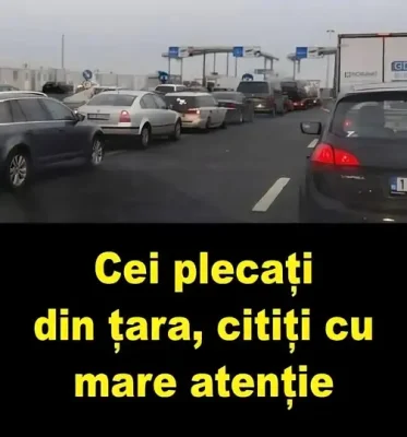 Adevărul despre românii din diaspora! Motivul pentru care nu mai vor să se întoarcă acasă după prima vizită la rude