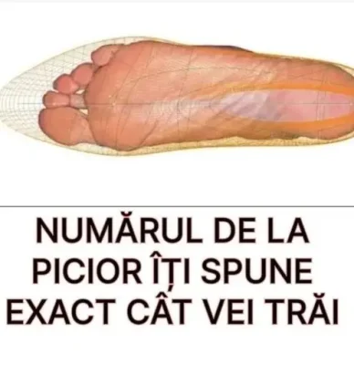 Câți ani vei trăi, de fapt? Legătura neașteptată dintre mărimea la pantof și longevitate. Puțini știu asta!