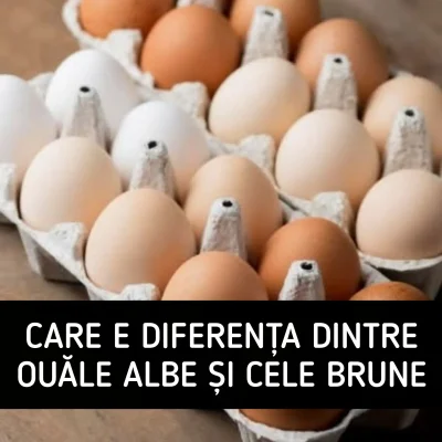Nu mai cumpăra ouă brune până nu afli asta! Greșeala pe care o fac toți românii când merg la supermarket